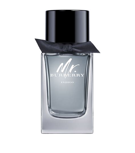 burberry mr burberry indigo eau de toilette spray|mr Burberry indigo 50ml.